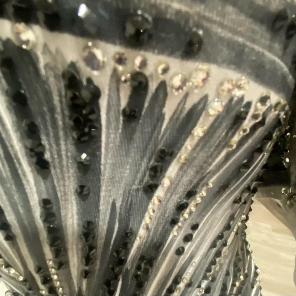 DORÉ Designs Ballgown or Competition Smooth Gown - Picture 10 of 16